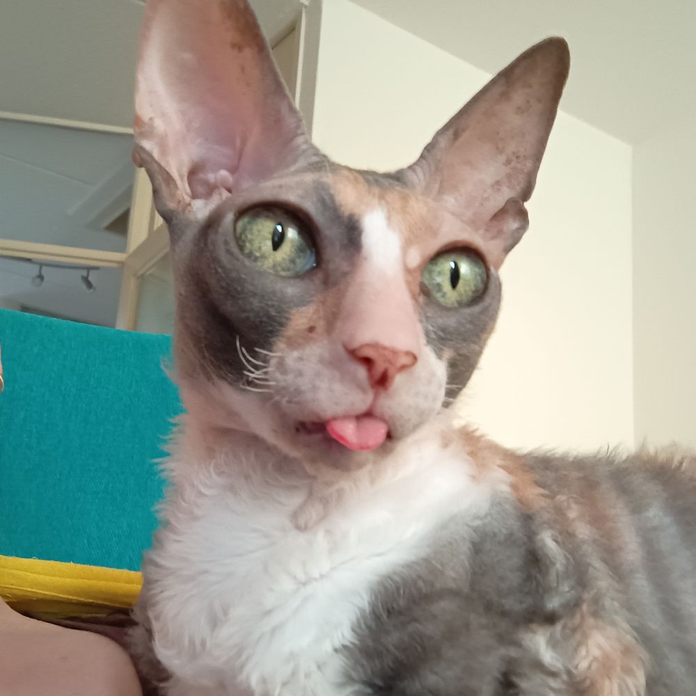 Kralalien