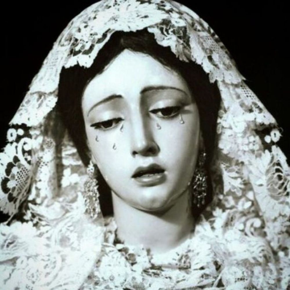 dona darka ✰