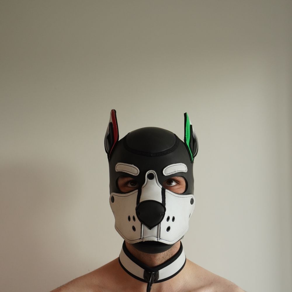 Pup Cover