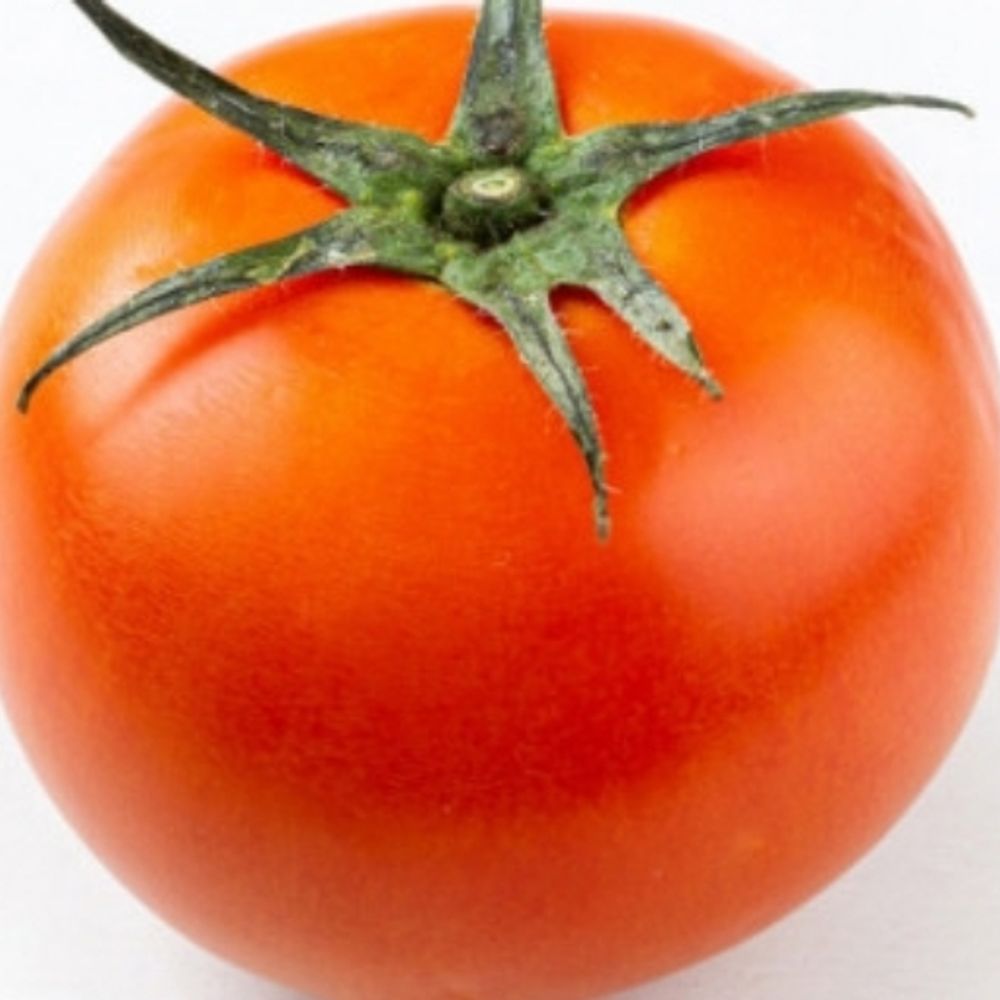 멋쟁이 토마토🍅