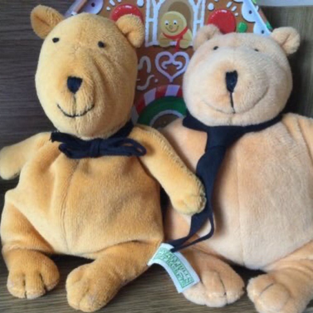 Hiram and Solomon Bear 🧸