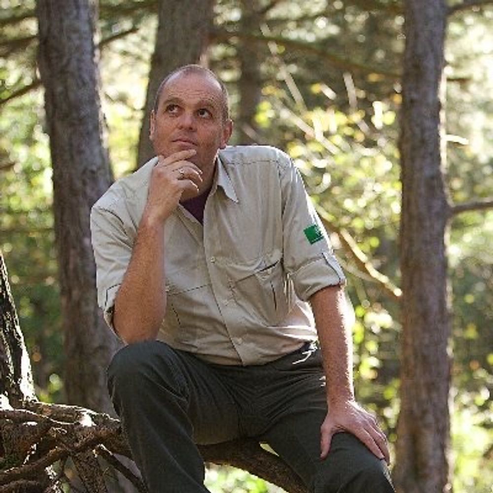 Boswachter Mark