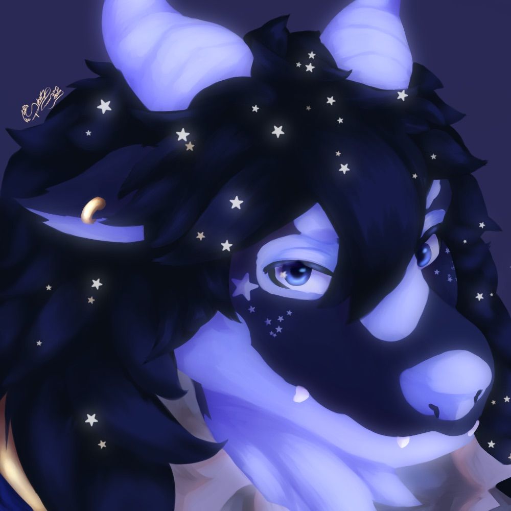 ✧•°.ᏕᎧᏰᏋᏦ. ₊’॰ 🔞