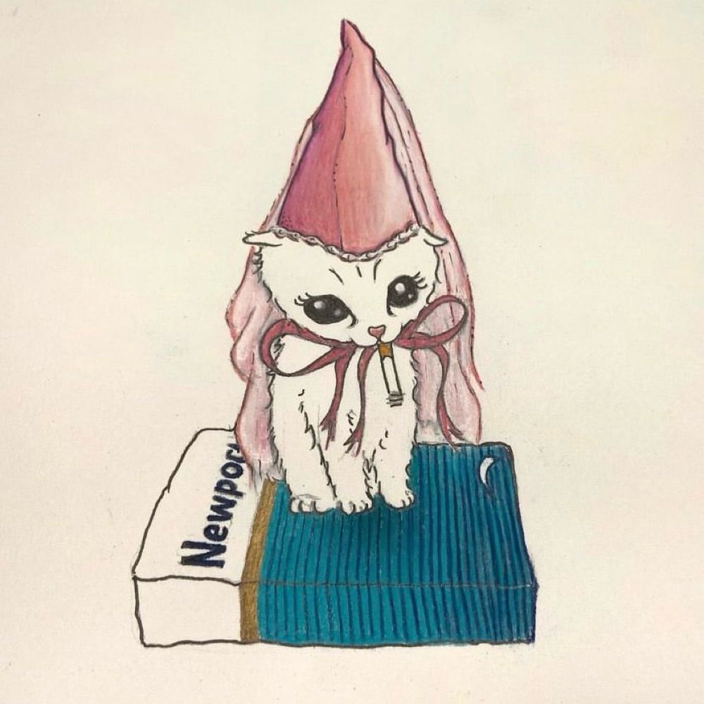 gato fada fudido
