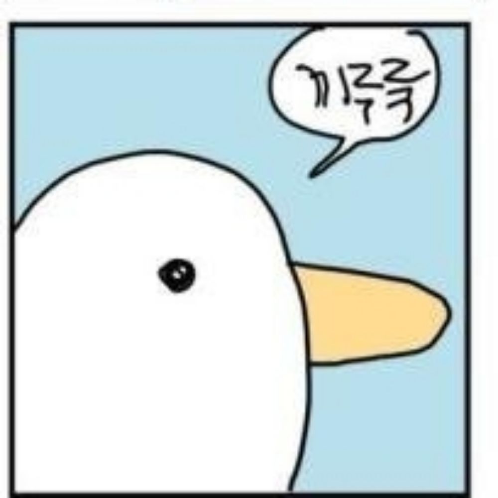 풍