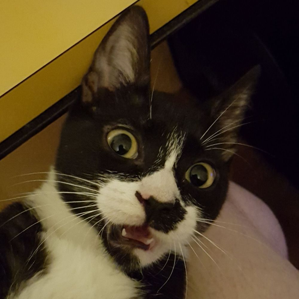 Marco