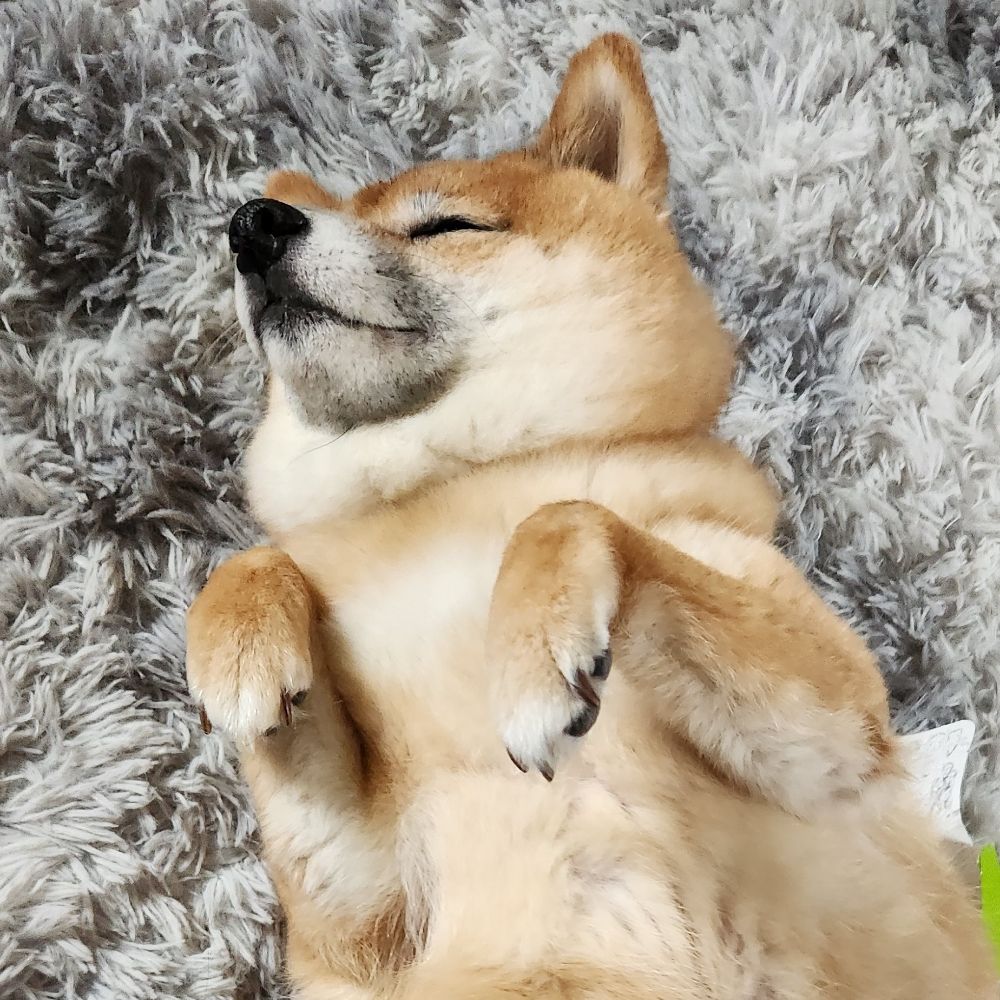 Py9