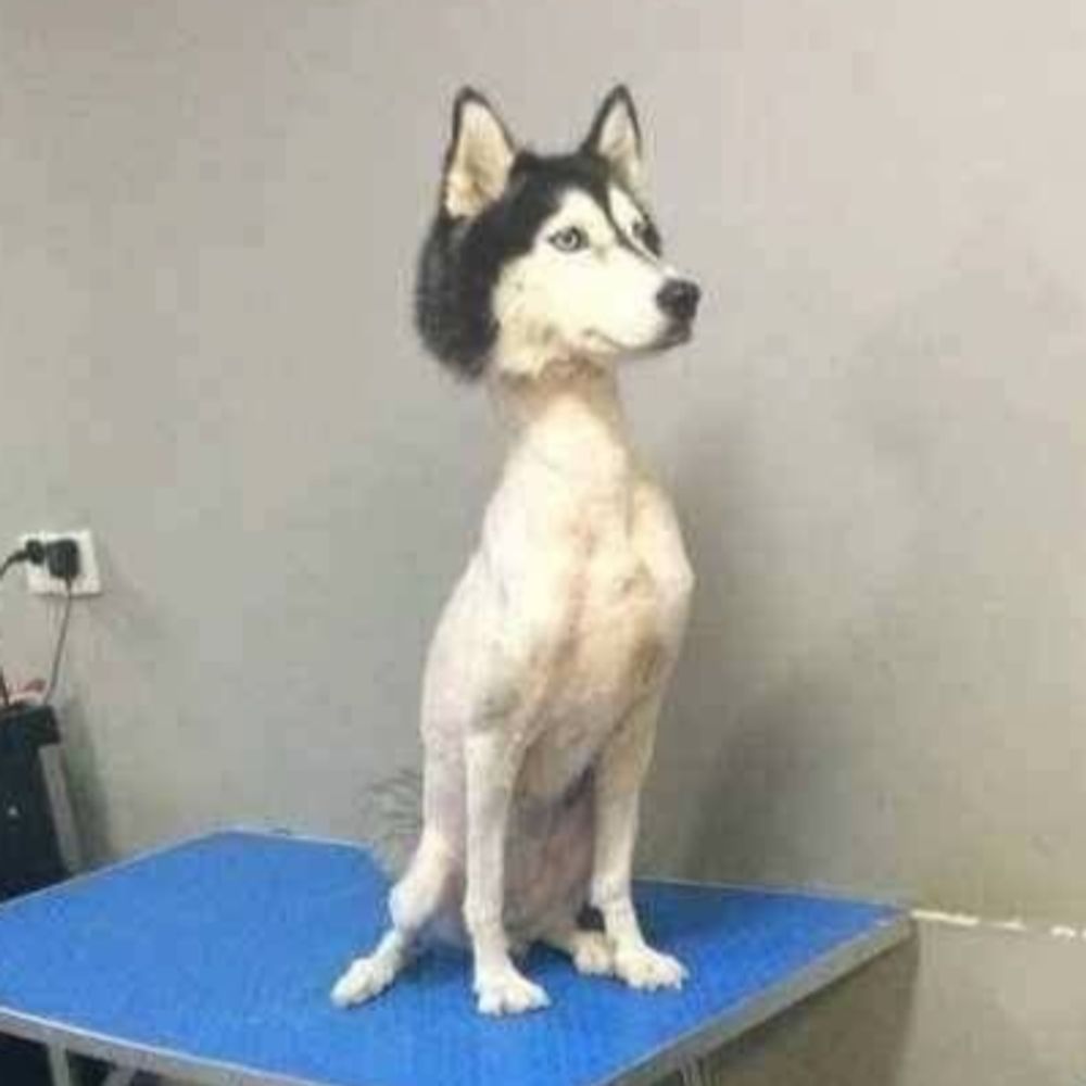 ねろ