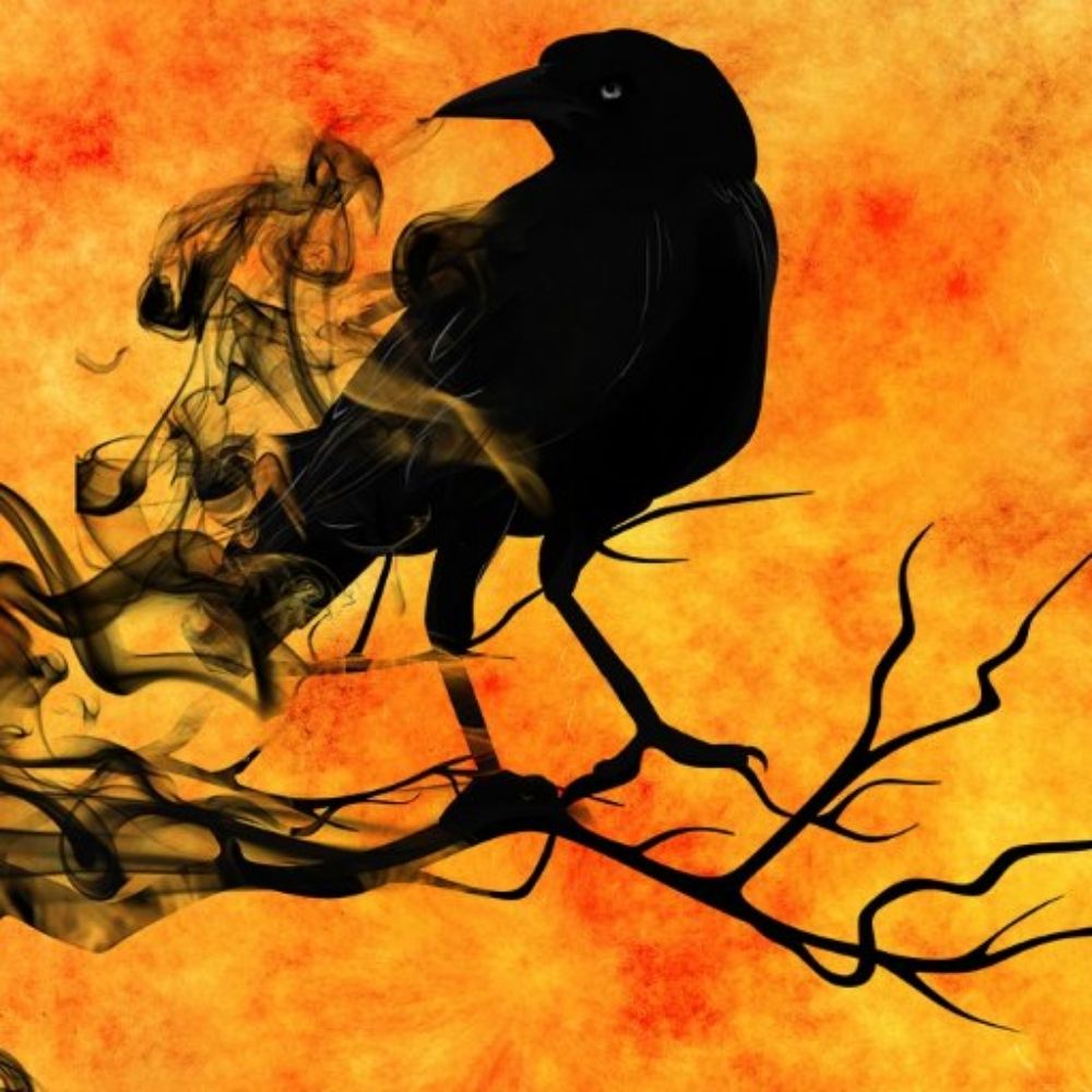 Raven
