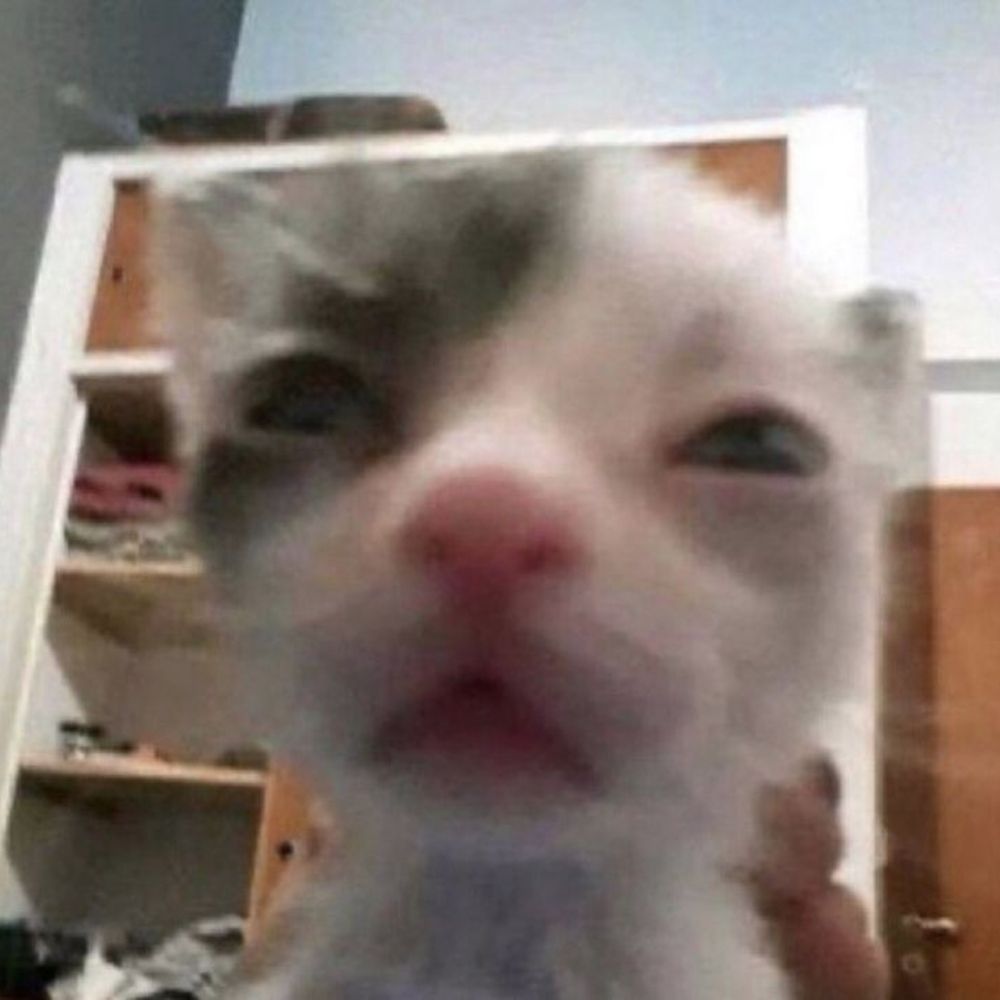 Q-Lulu?¿