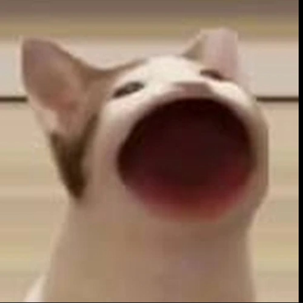 ❤️‍🔥 𝓬𝓪𝓻𝓲 ❤️‍🔥