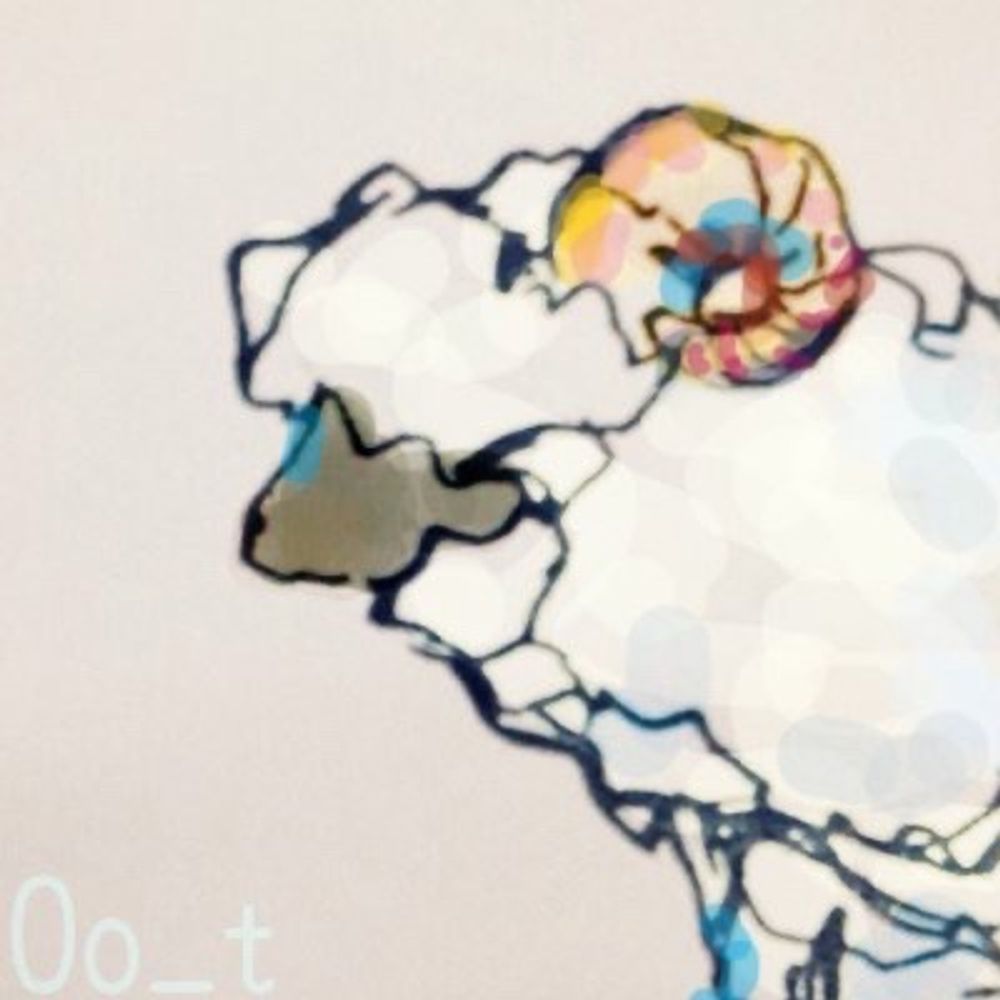 Oo_t(tuki)