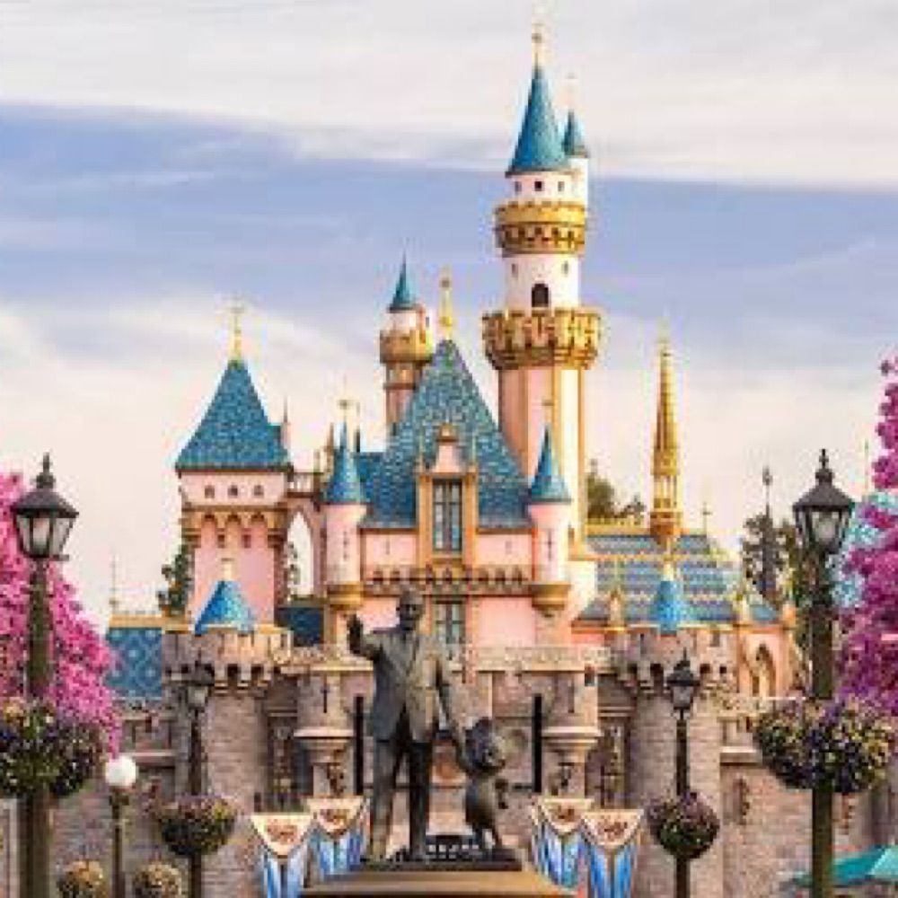 Disneyland Wait Times