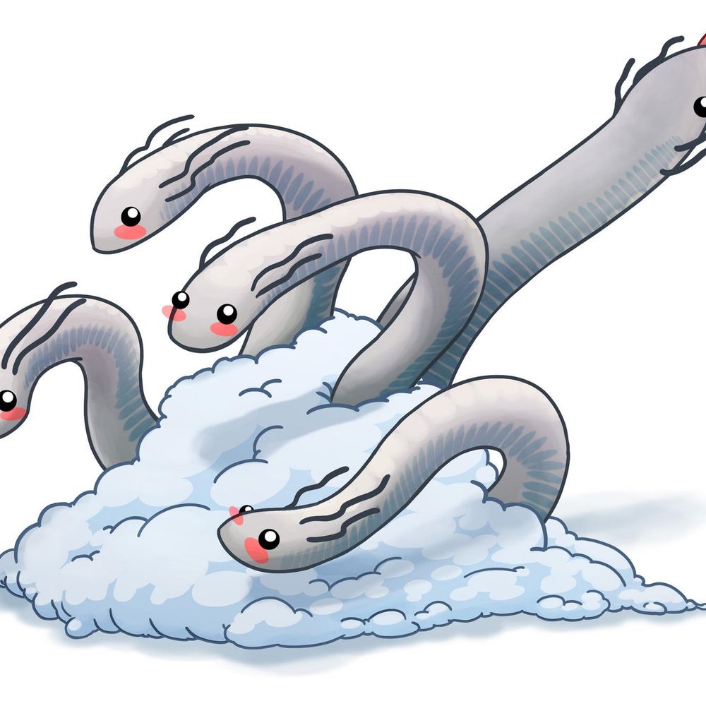 apexhydra