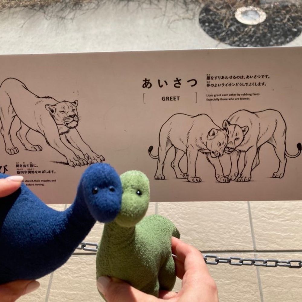こじか