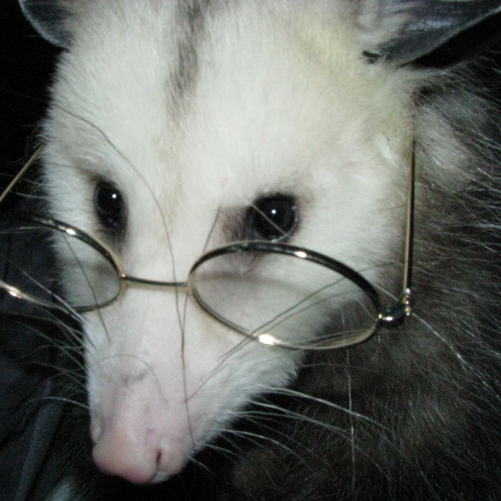 Ms. Opossum graphs COVID data.