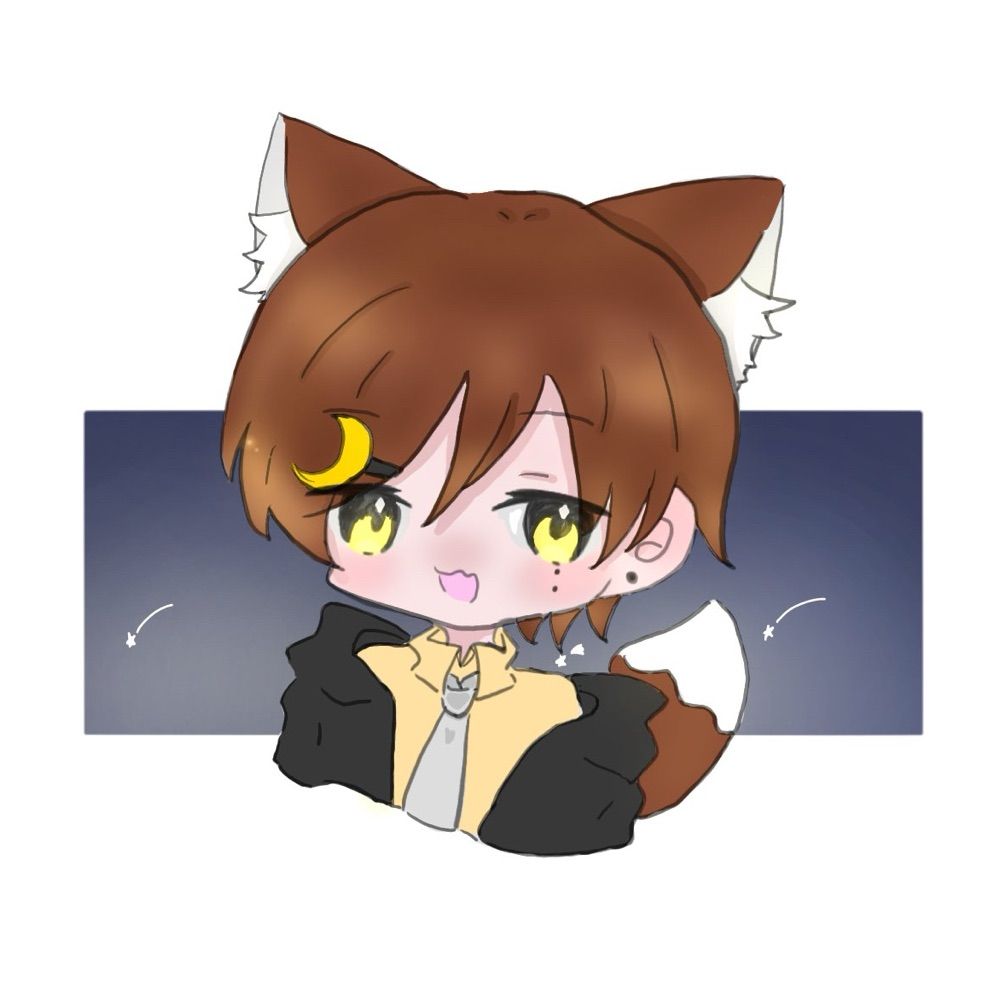 夜狐☾