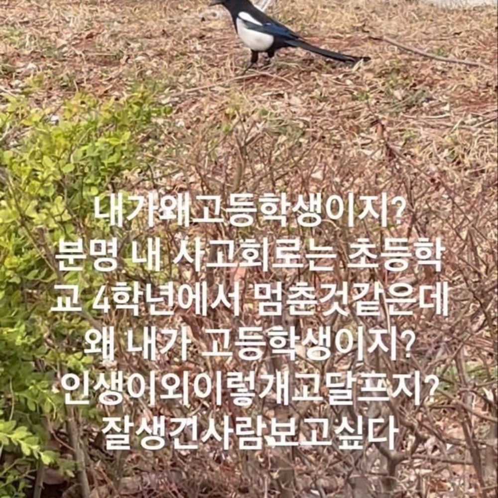 햰