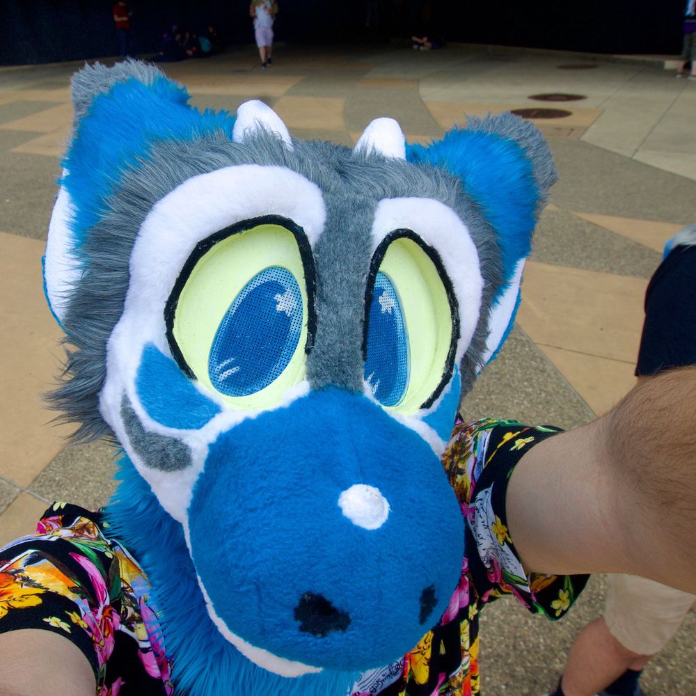 Coda The Dragon