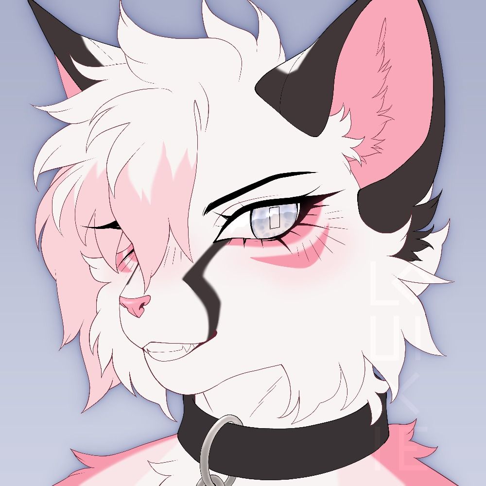 Redd