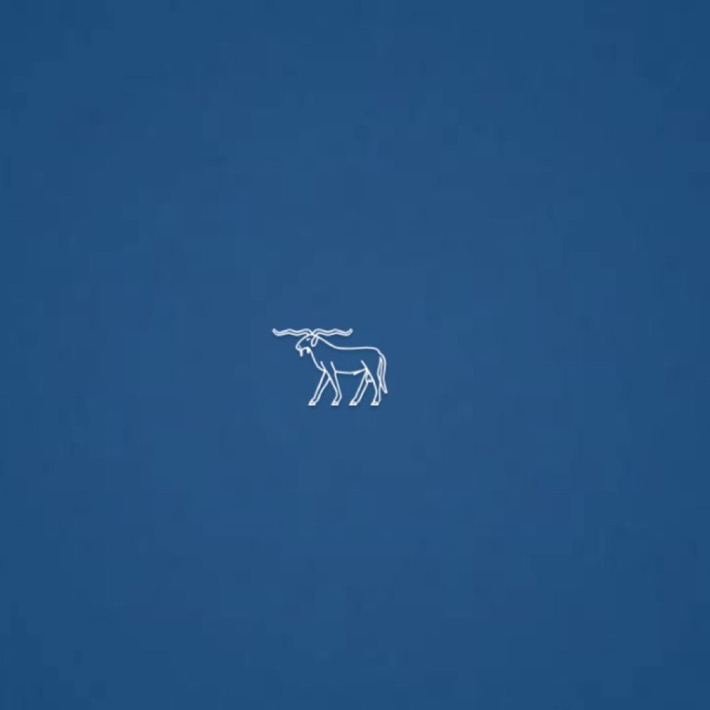 遊