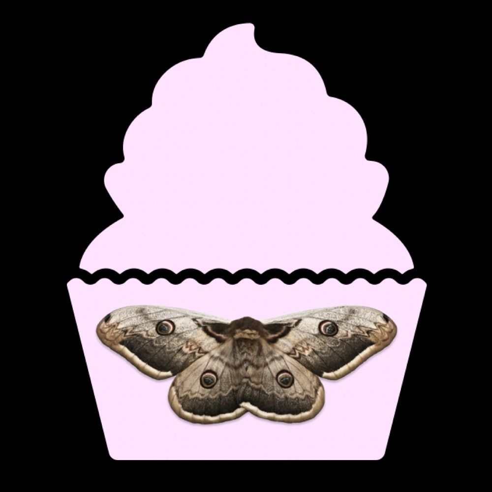 Profile picture cakemoth.bsky.social