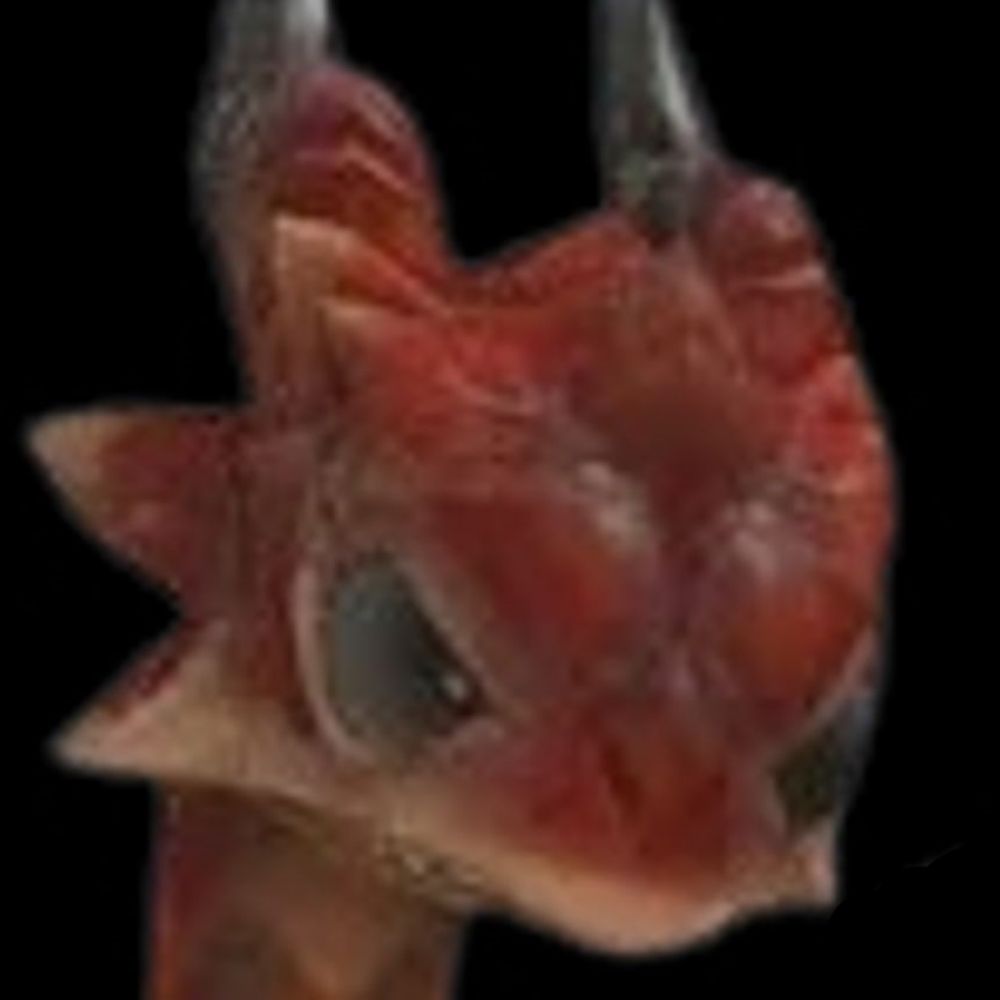Dracozon