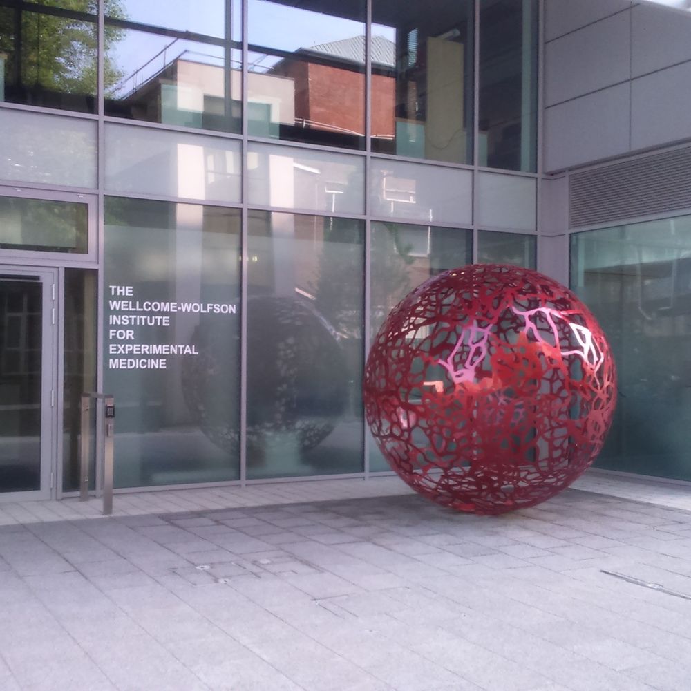 Wellcome-Wolfson Institute for Experimental Medicine 