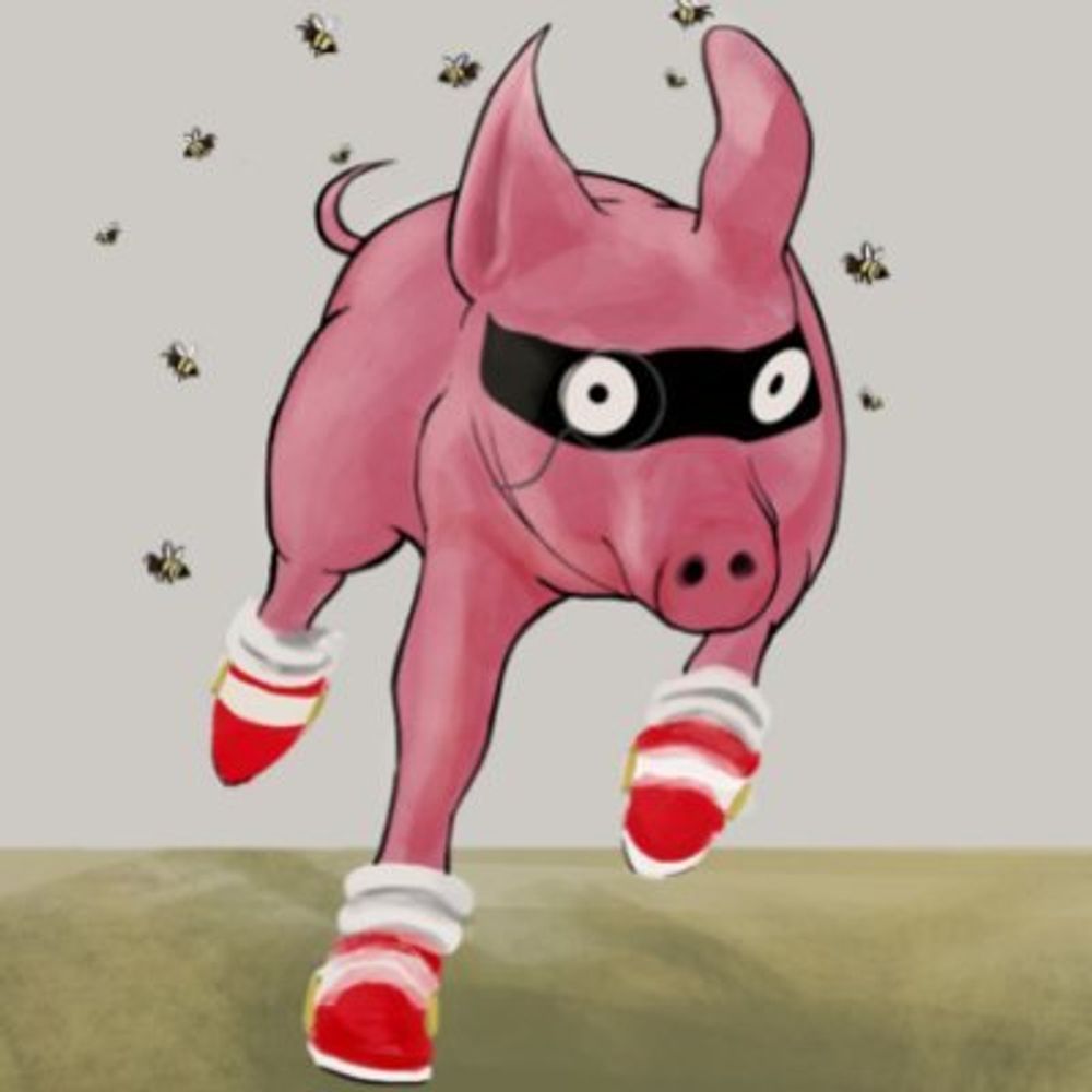 PigMasked ₍ᐢ･🐽･ᐢ₎