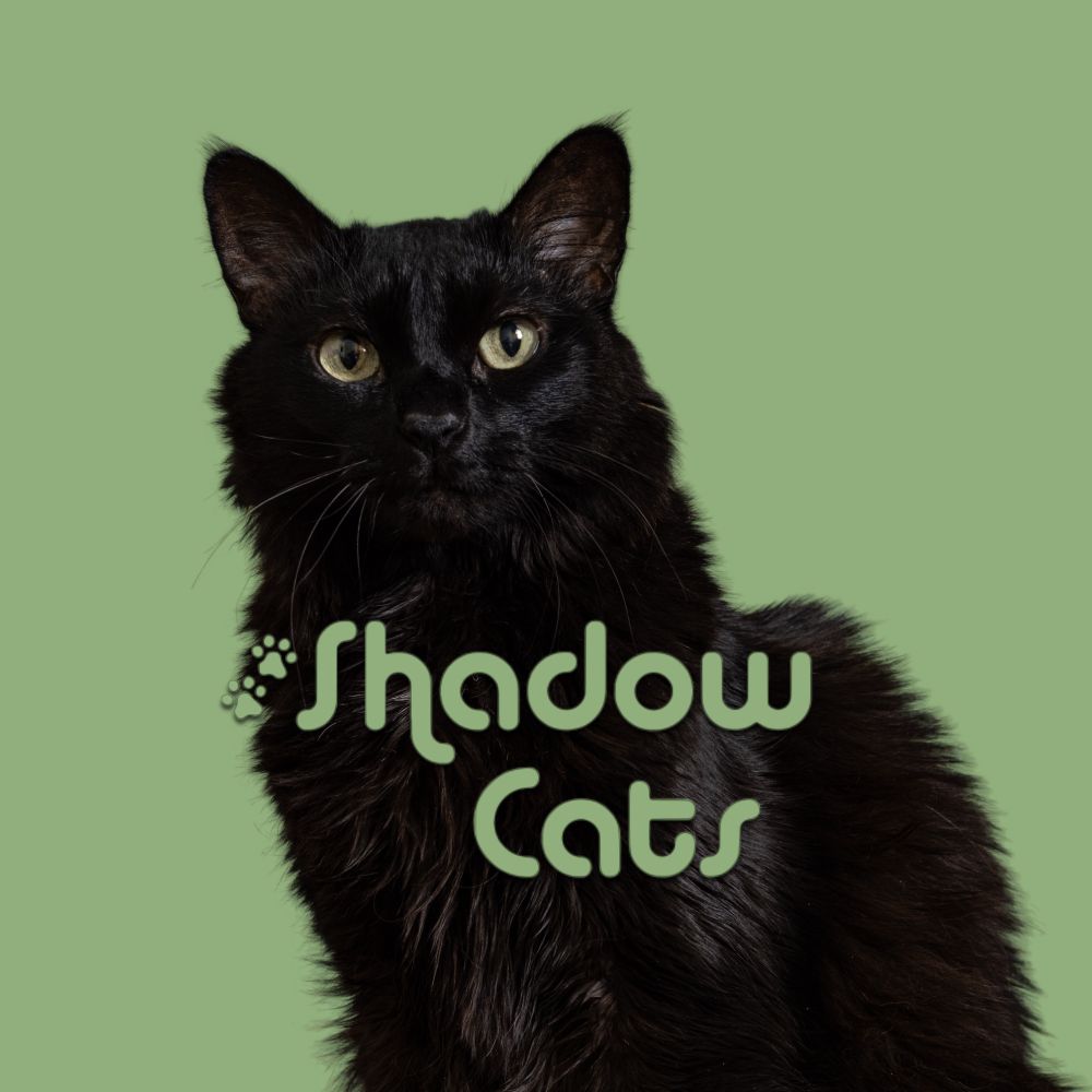 Shadow Cats