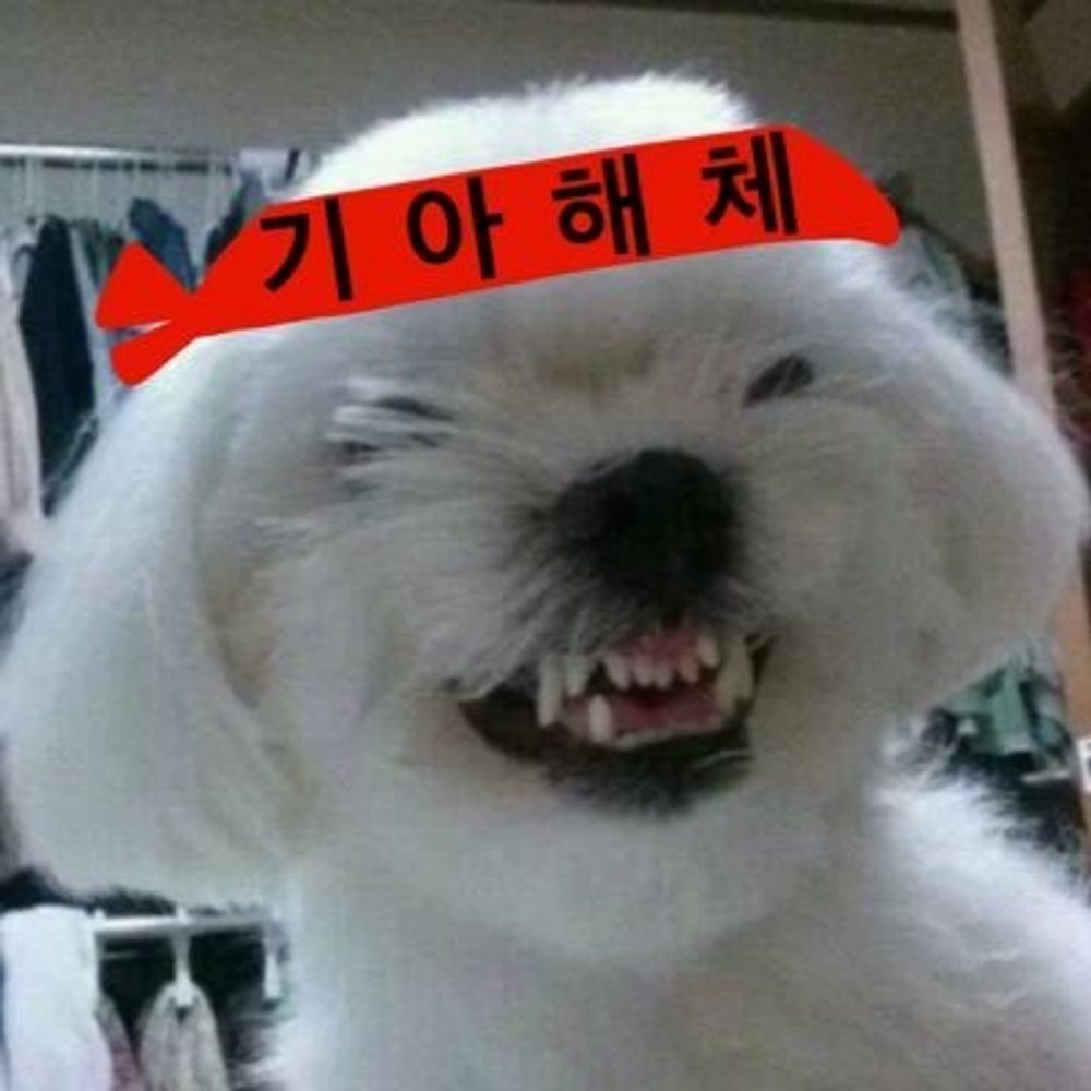 기아는즉시해체하라