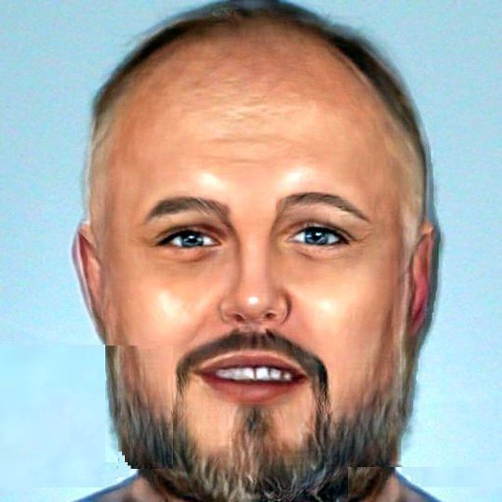 Ad van den Broek