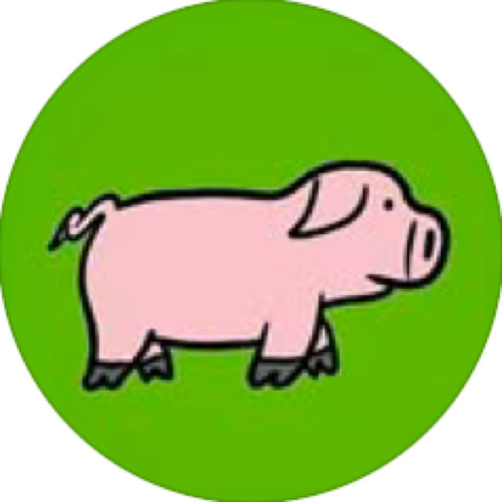 ninefluffypiggies