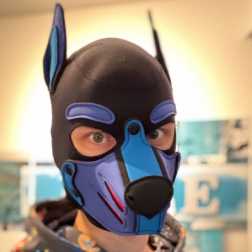 Puppy Spike