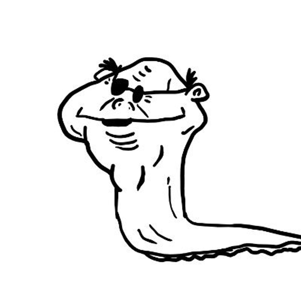 Chimpini