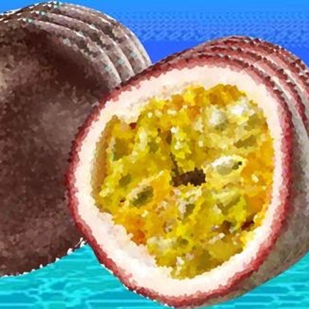 Paxion Frut