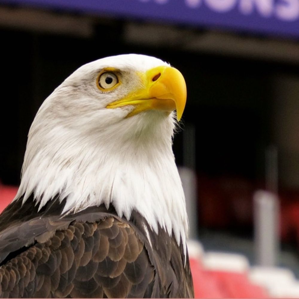 Res CR🦅