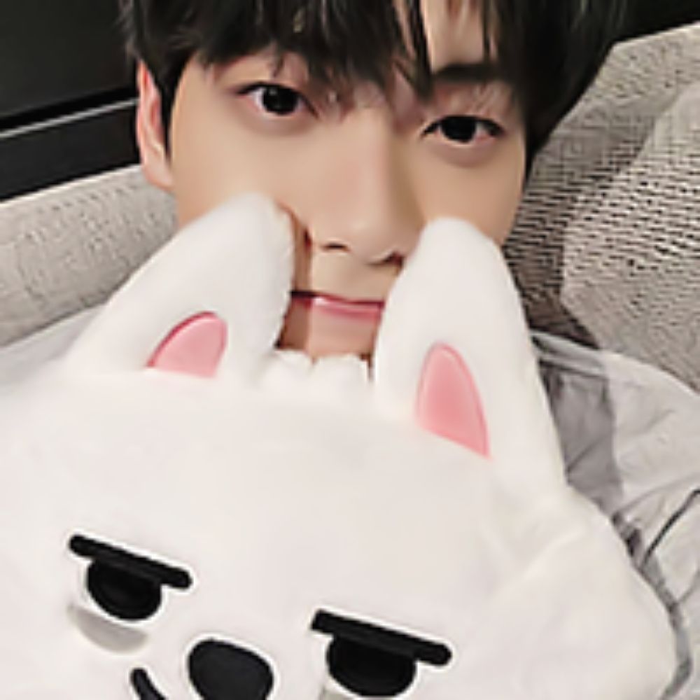 bean 최삔 ·