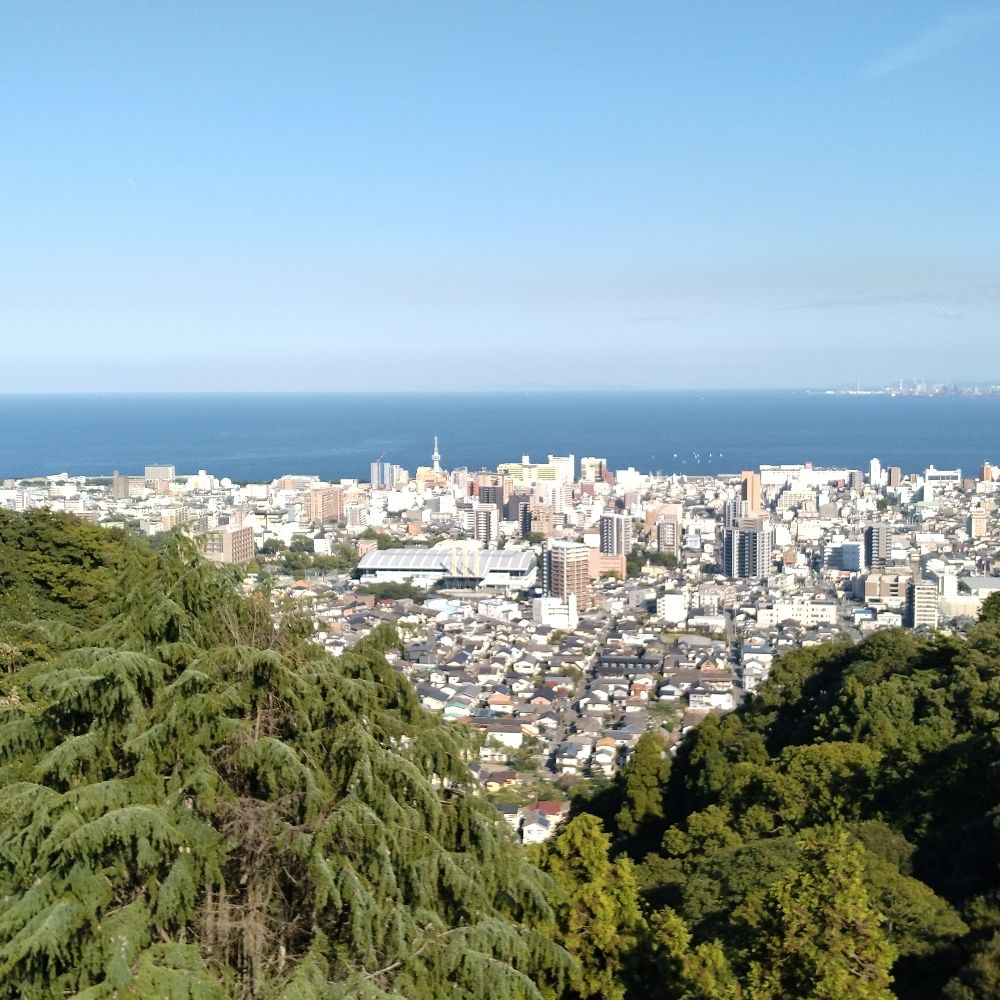 箒作業