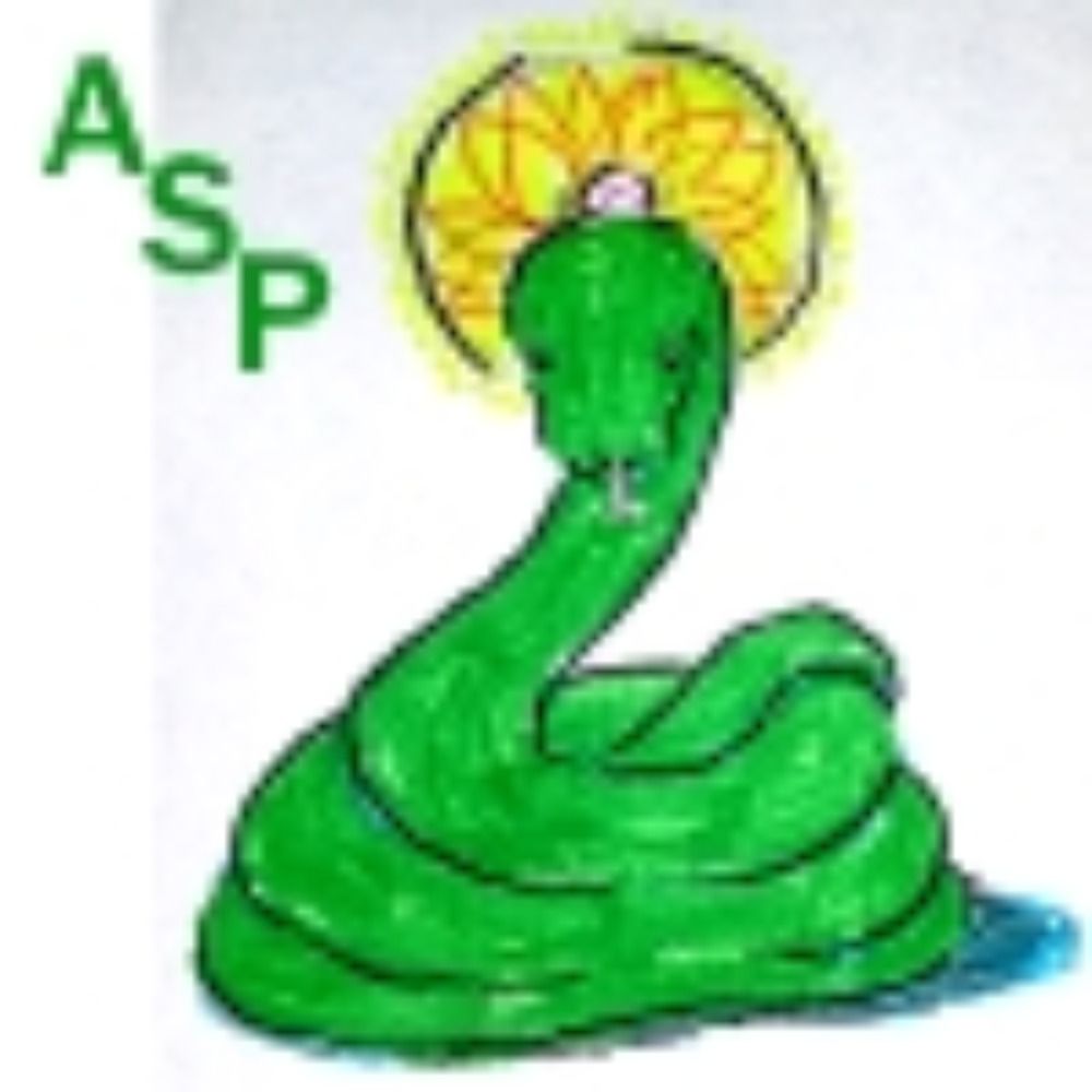 Asp's avatar