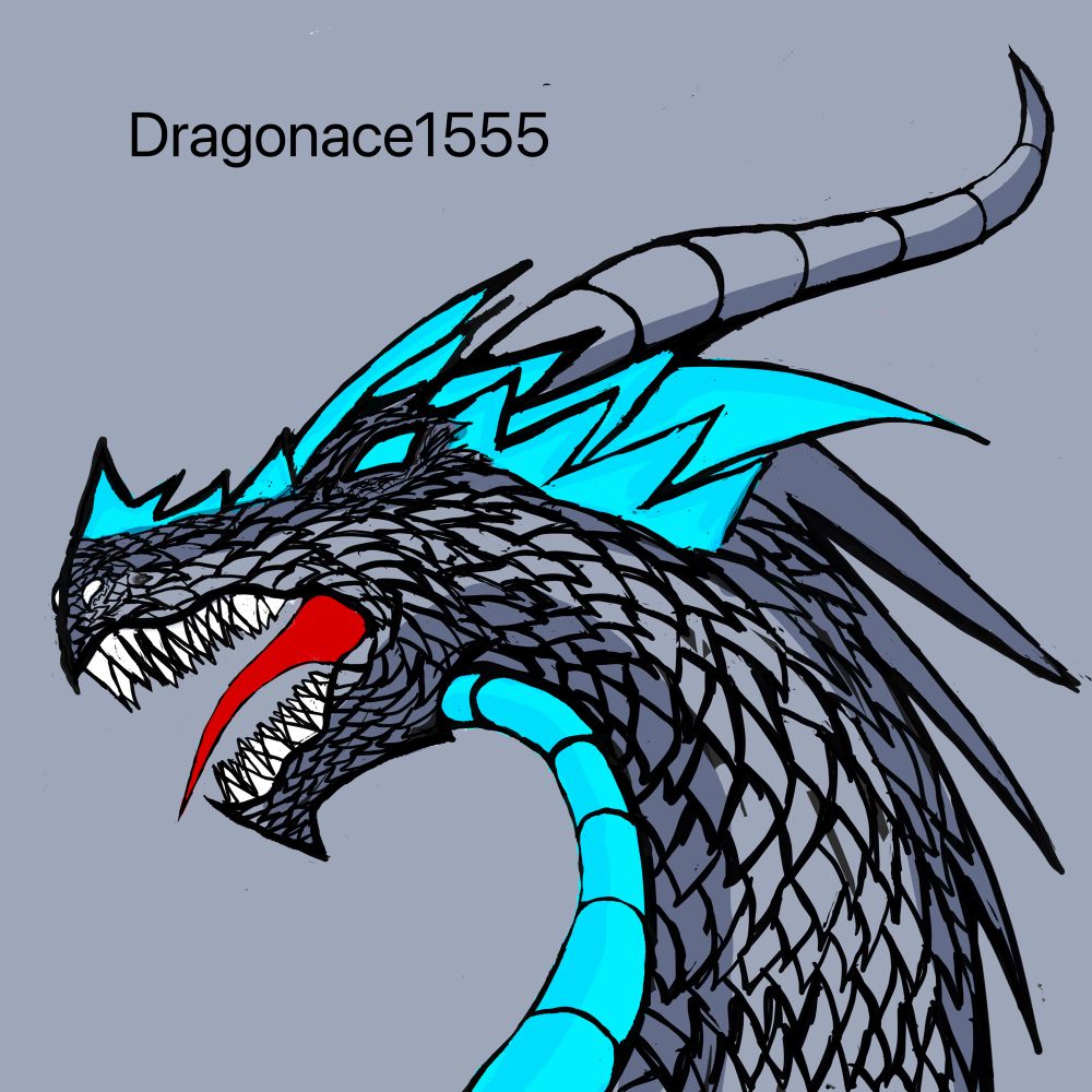 🐉Dragonace1555🐉