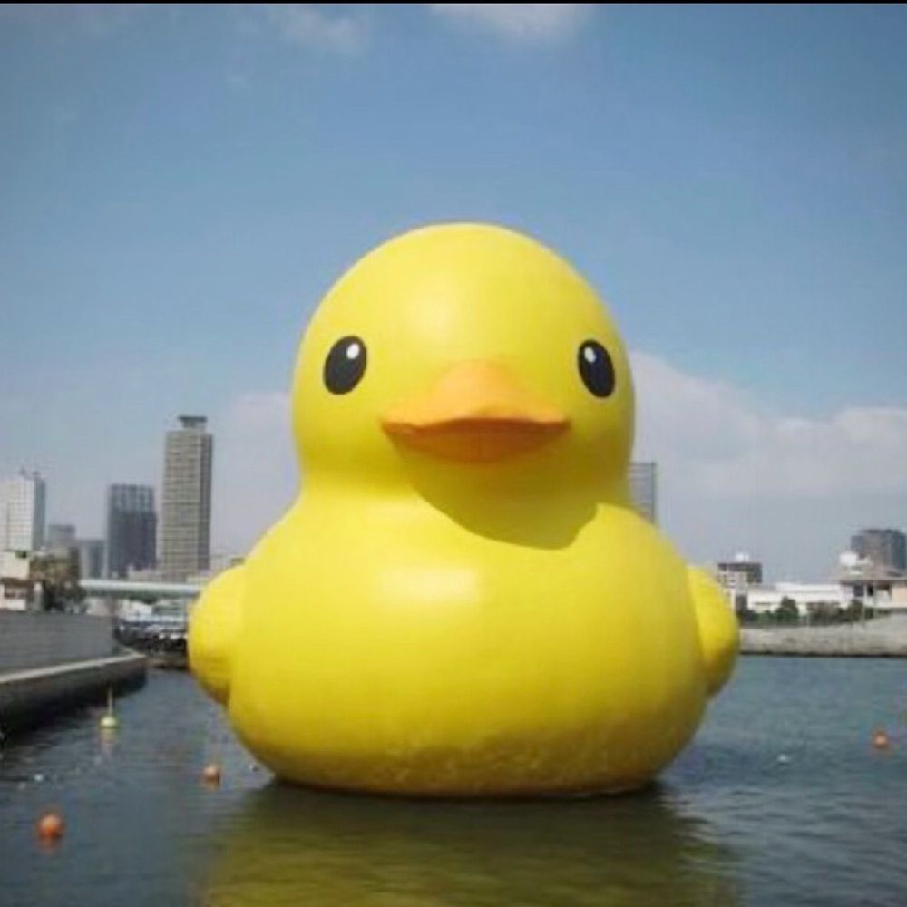 まー🐤