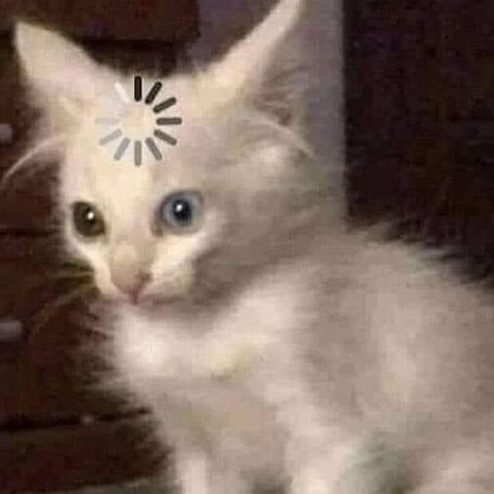 Mista