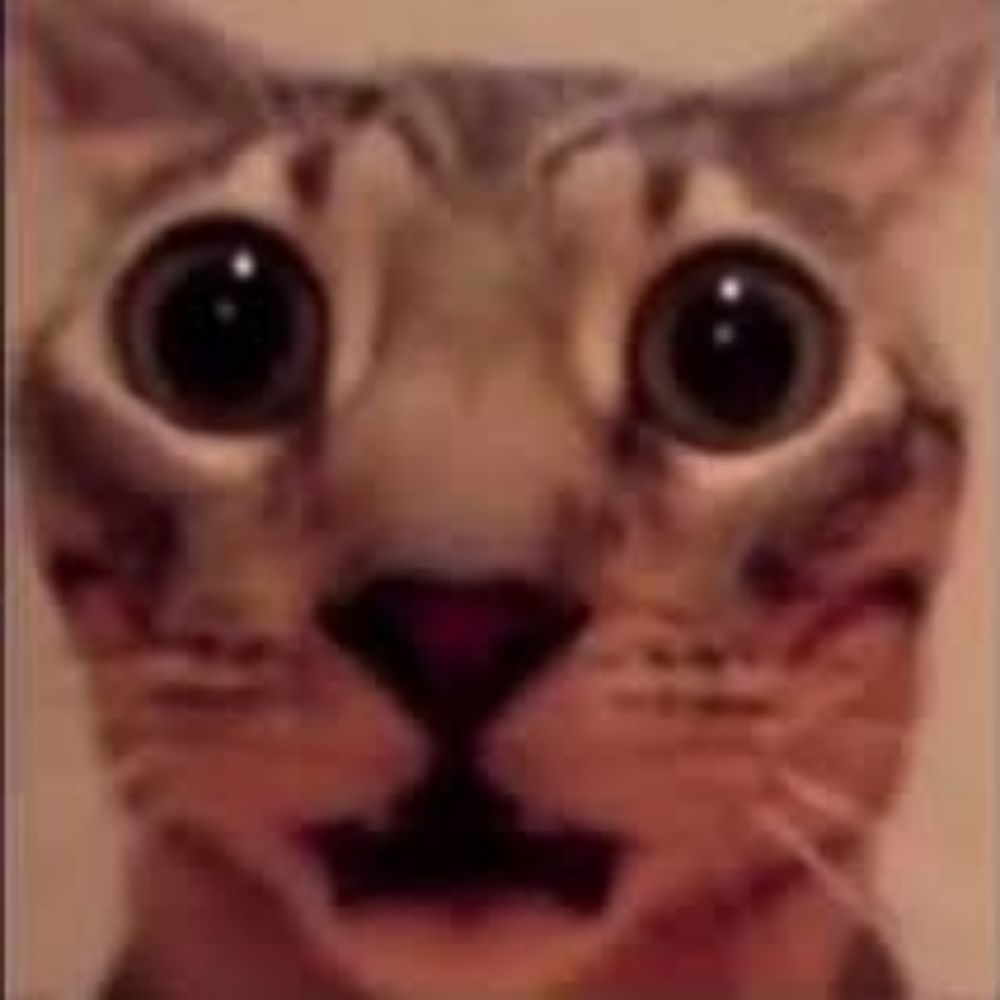Ragishio