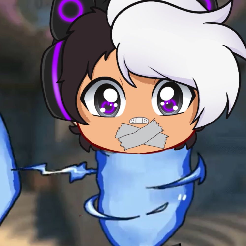 EM_SkunkVT