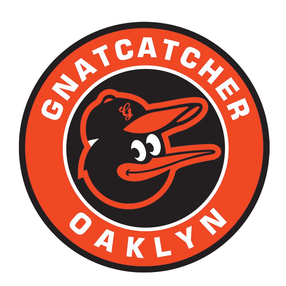 gnatcatcher