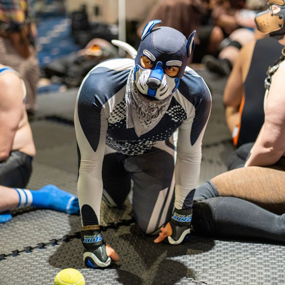 Mark Salinas / Pup Ace