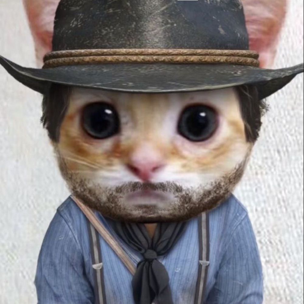 enzo dunga