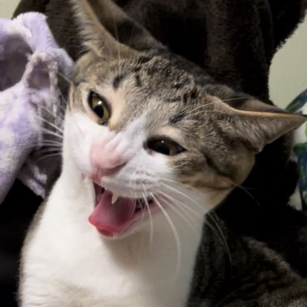 るるる