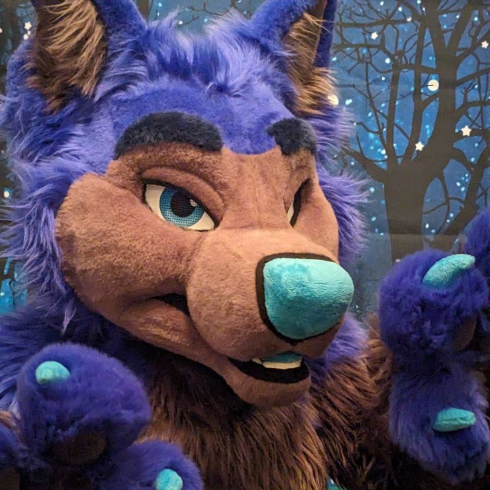 SymonHuskyΘΔ